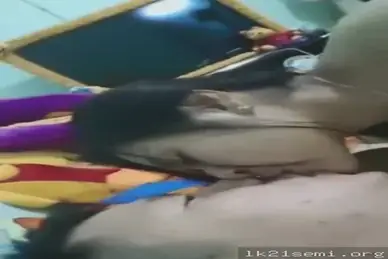 Janda Montok Ciuman Mesra Sama Duda, Langsung Ngentot Ganas